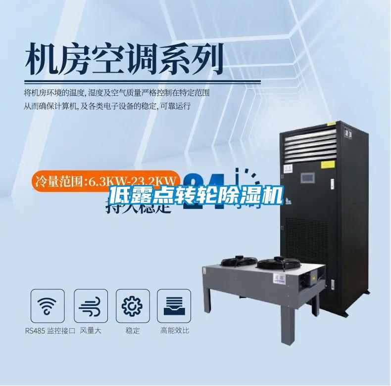 低露點轉(zhuǎn)輪除濕機(jī)