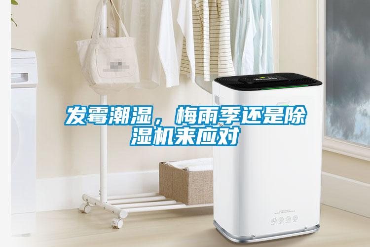 發霉潮濕，梅雨季還是除濕機來應對