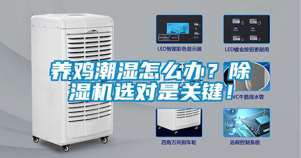 養(yǎng)雞潮濕怎么辦？除濕機(jī)選對(duì)是關(guān)鍵！