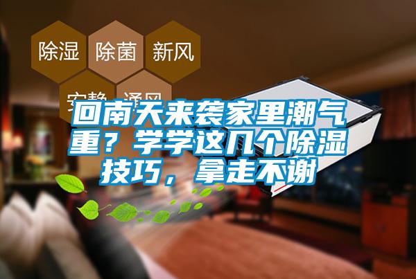 回南天來襲家里潮氣重？學學這幾個除濕技巧，拿走不謝