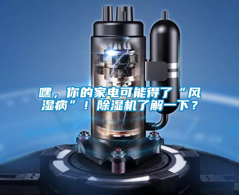 嘿，你的家電可能得了“風濕病”！除濕機了解一下？