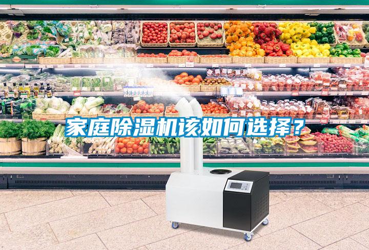 家庭除濕機該如何選擇？