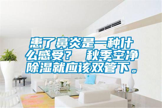 患了鼻炎是一種什么感受？ 秋季空凈除濕就應該雙管下。