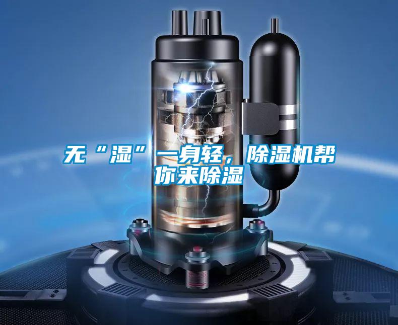 無“濕”一身輕，除濕機幫你來除濕