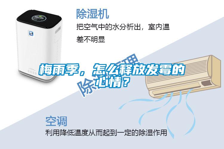 梅雨季，怎么釋放發(fā)霉的心情？