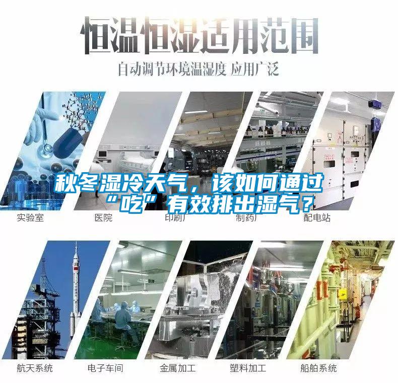 秋冬濕冷天氣，該如何通過“吃”有效排出濕氣？