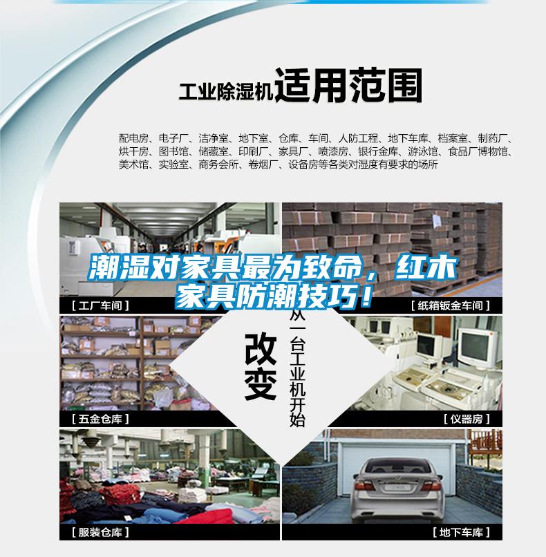 潮濕對家具最為致命，紅木家具防潮技巧！