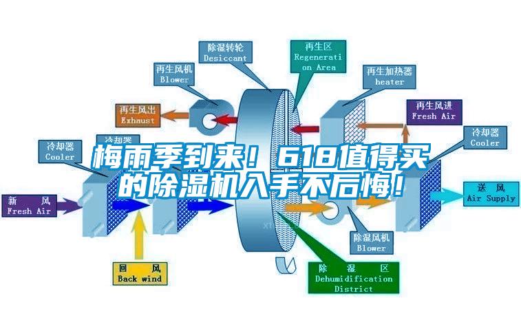 梅雨季到來！618值得買的除濕機入手不后悔！