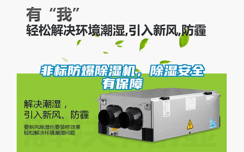 非標(biāo)防爆除濕機(jī)，除濕安全有保障