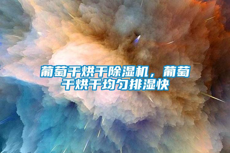 葡萄干烘干除濕機，葡萄干烘干均勻排濕快