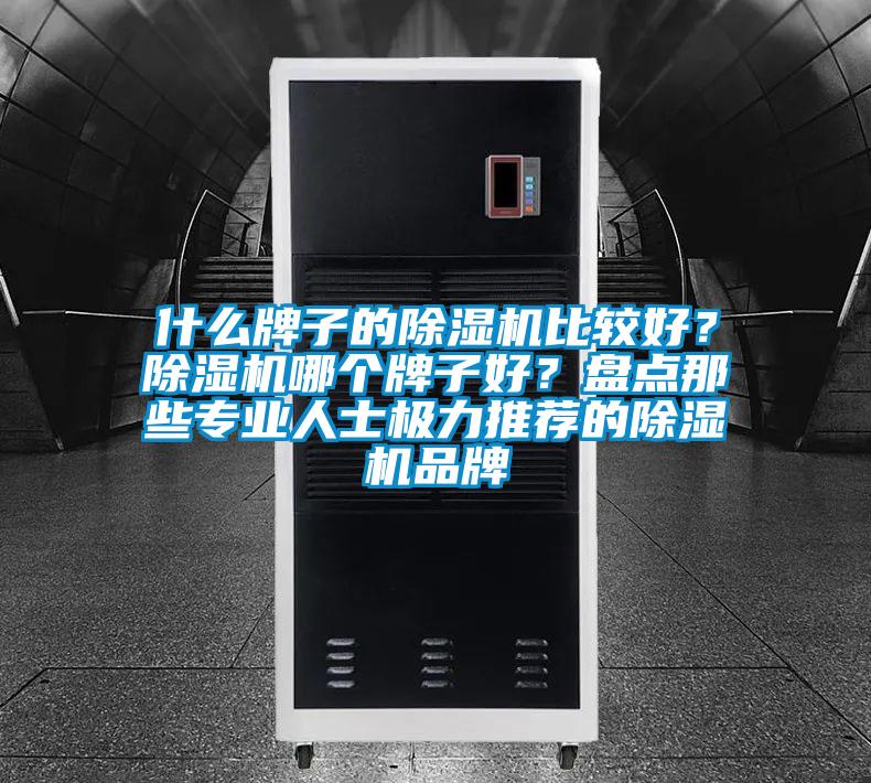 什么牌子的除濕機比較好？除濕機哪個牌子好？盤點那些專業(yè)人士極力推薦的除濕機品牌