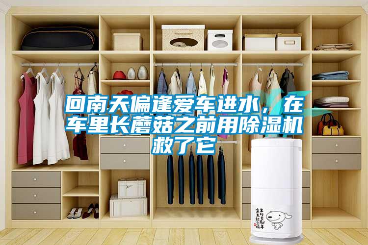 回南天偏逢愛車進(jìn)水，在車?yán)镩L(zhǎng)蘑菇之前用除濕機(jī)救了它