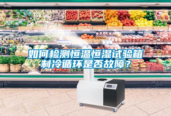 如何檢測(cè)恒溫恒濕試驗(yàn)箱制冷循環(huán)是否故障？