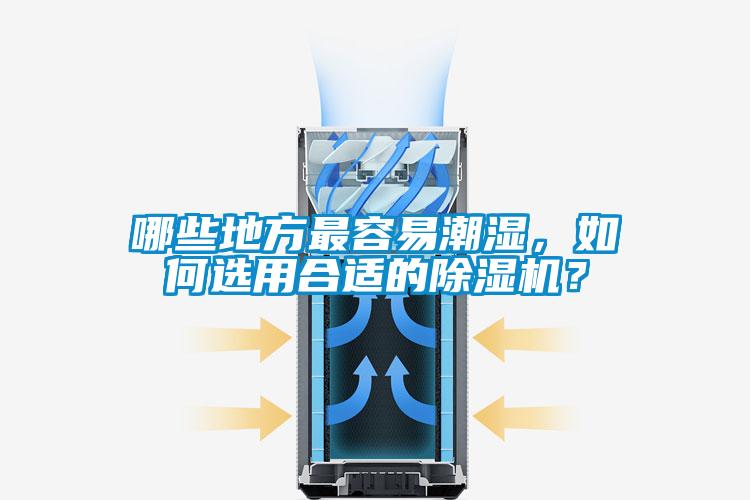 哪些地方最容易潮濕，如何選用合適的除濕機(jī)？
