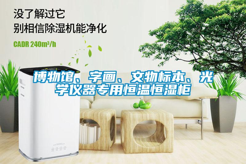 博物館、字畫、文物標(biāo)本、光學(xué)儀器專用恒溫恒濕柜