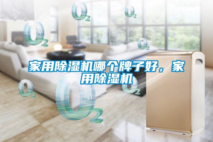 家用除濕機哪個牌子好，家用除濕機