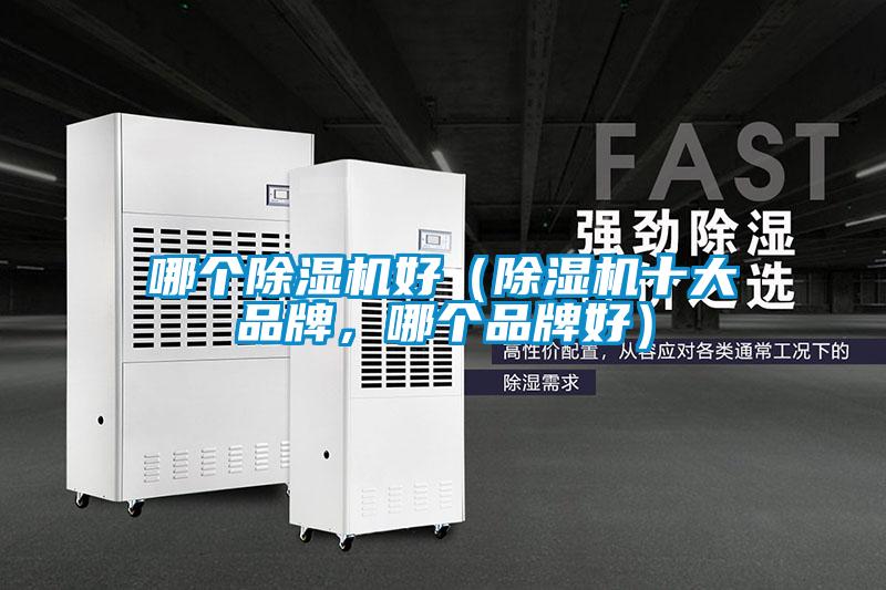 哪個(gè)除濕機(jī)好（除濕機(jī)十大品牌，哪個(gè)品牌好）