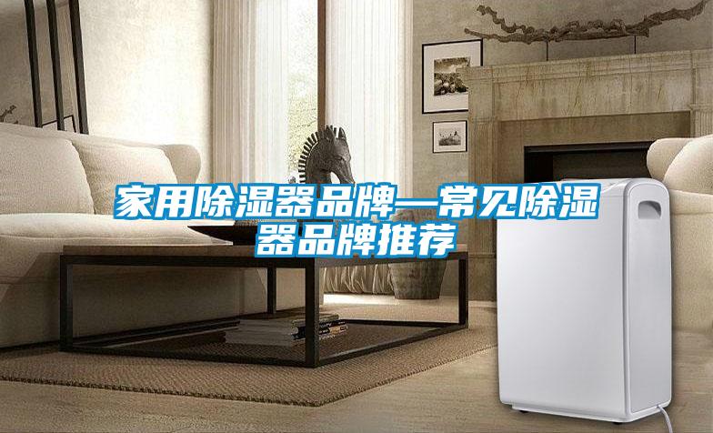 家用除濕器品牌—常見(jiàn)除濕器品牌推薦