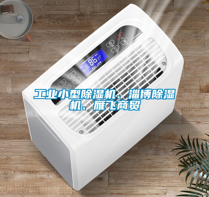 工業(yè)小型除濕機、淄博除濕機、雁飛商貿