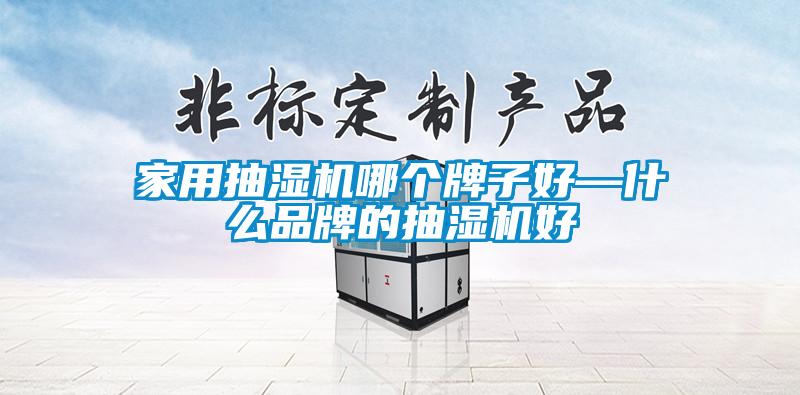 家用抽濕機(jī)哪個牌子好—什么品牌的抽濕機(jī)好