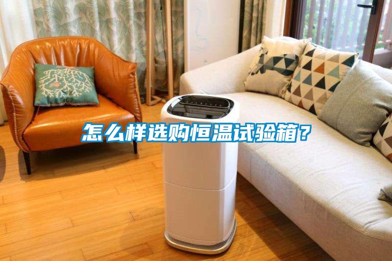 怎么樣選購恒溫試驗箱？