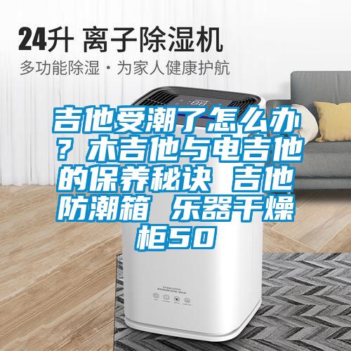 吉他受潮了怎么辦？木吉他與電吉他的保養(yǎng)秘訣 吉他防潮箱 樂(lè)器干燥柜50