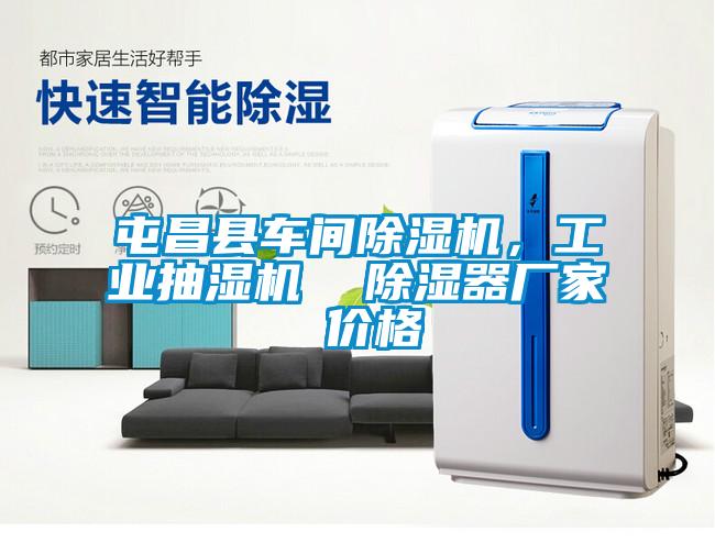 屯昌縣車間除濕機，工業(yè)抽濕機  除濕器廠家 價格