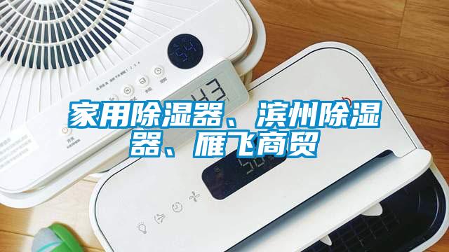 家用除濕器、濱州除濕器、雁飛商貿