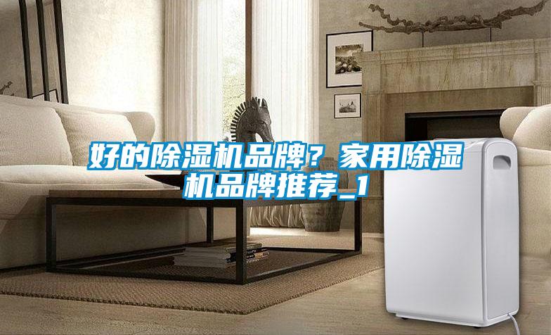 好的除濕機品牌？家用除濕機品牌推薦_1