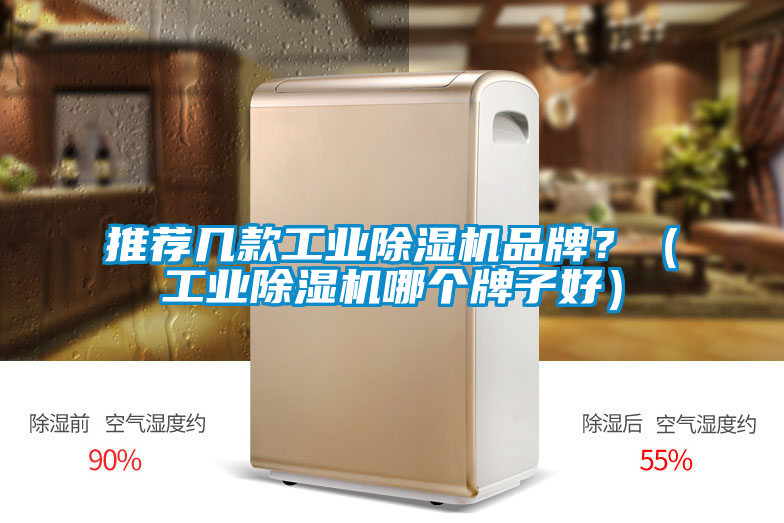 推薦幾款工業除濕機品牌？（工業除濕機哪個牌子好）