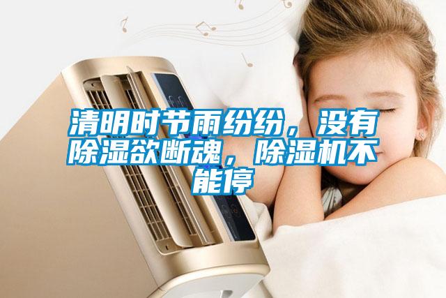清明時節雨紛紛，沒有除濕欲斷魂，除濕機不能停
