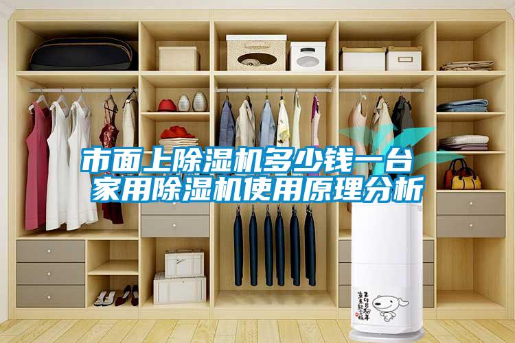 市面上除濕機(jī)多少錢(qián)一臺(tái) 家用除濕機(jī)使用原理分析