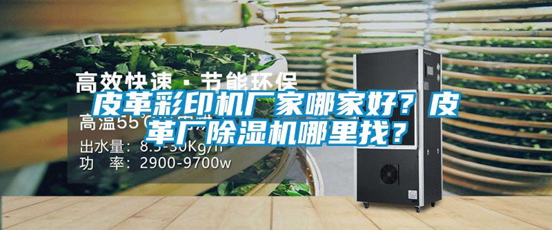 皮革彩印機廠家哪家好？皮革廠除濕機哪里找？