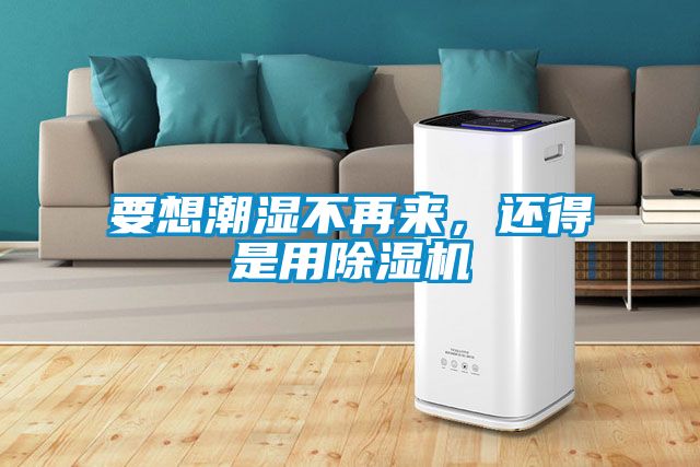 要想潮濕不再來，還得是用除濕機