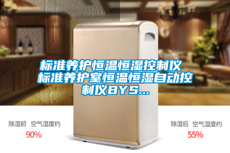 標準養(yǎng)護恒溫恒濕控制儀 標準養(yǎng)護室恒溫恒濕自動控制儀BYS...