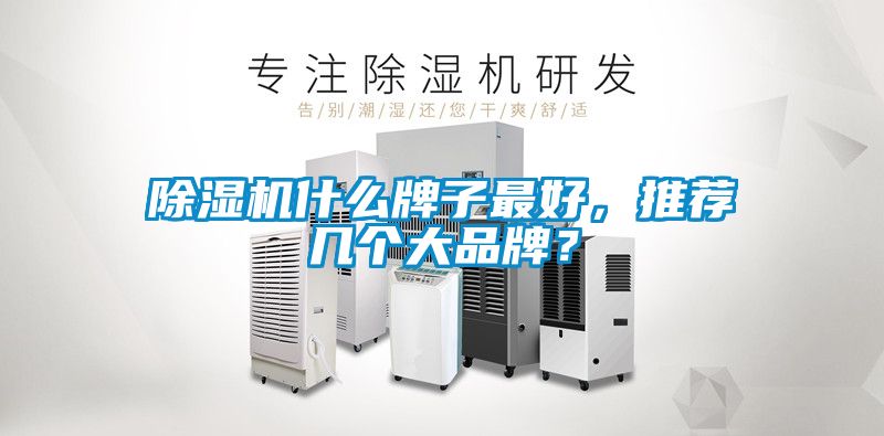 除濕機(jī)什么牌子最好，推薦幾個(gè)大品牌？