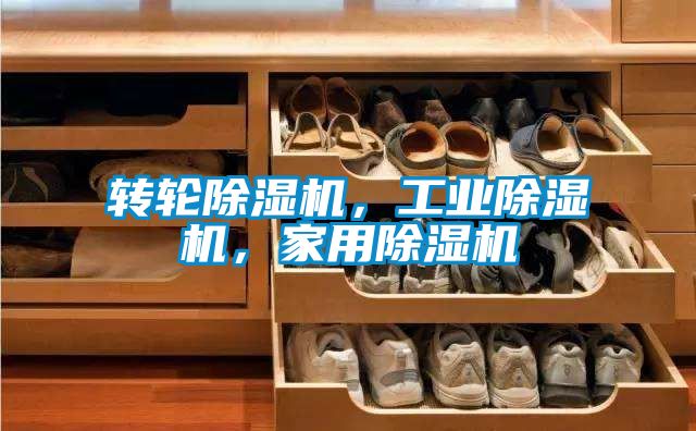 轉(zhuǎn)輪除濕機(jī)，工業(yè)除濕機(jī)，家用除濕機(jī)