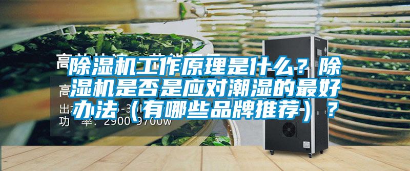 除濕機(jī)工作原理是什么？除濕機(jī)是否是應(yīng)對潮濕的最好辦法（有哪些品牌推薦）？