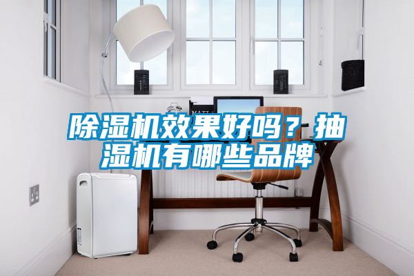 除濕機效果好嗎？抽濕機有哪些品牌