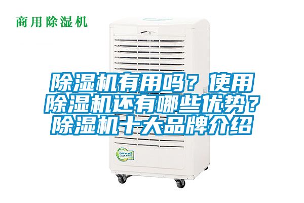 除濕機有用嗎？使用除濕機還有哪些優(yōu)勢？除濕機十大品牌介紹