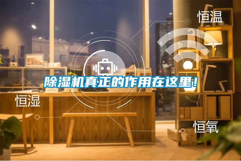 除濕機真正的作用在這里！