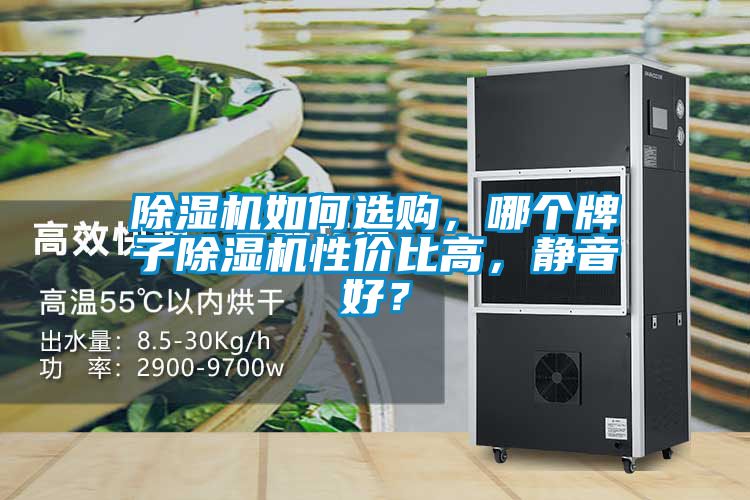 除濕機(jī)如何選購(gòu)，哪個(gè)牌子除濕機(jī)性價(jià)比高，靜音好？