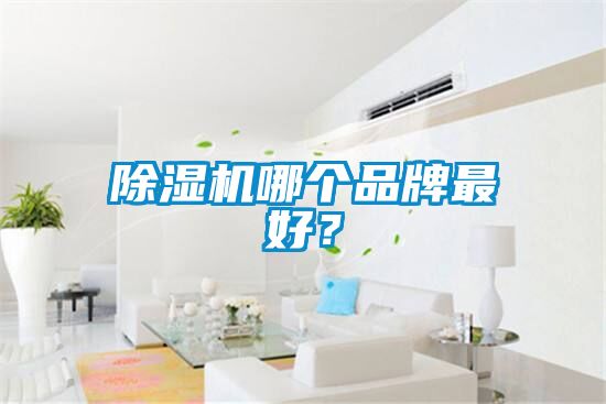除濕機哪個品牌最好？