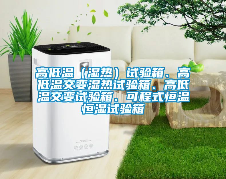 高低溫（濕熱）試驗箱、高低溫交變濕熱試驗箱、高低溫交變試驗箱、可程式恒溫恒濕試驗箱