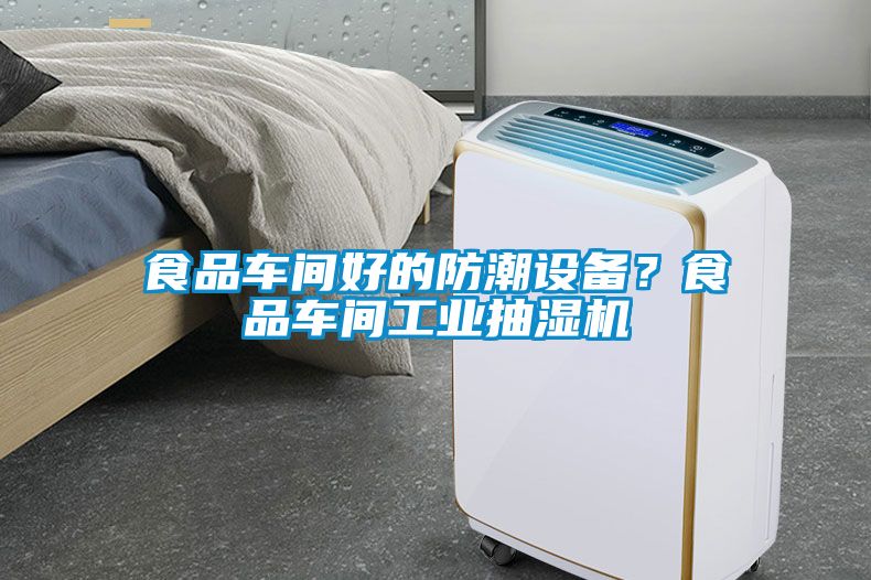 食品車間好的防潮設(shè)備？食品車間工業(yè)抽濕機(jī)