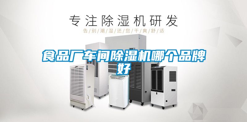 食品廠車間除濕機(jī)哪個品牌好