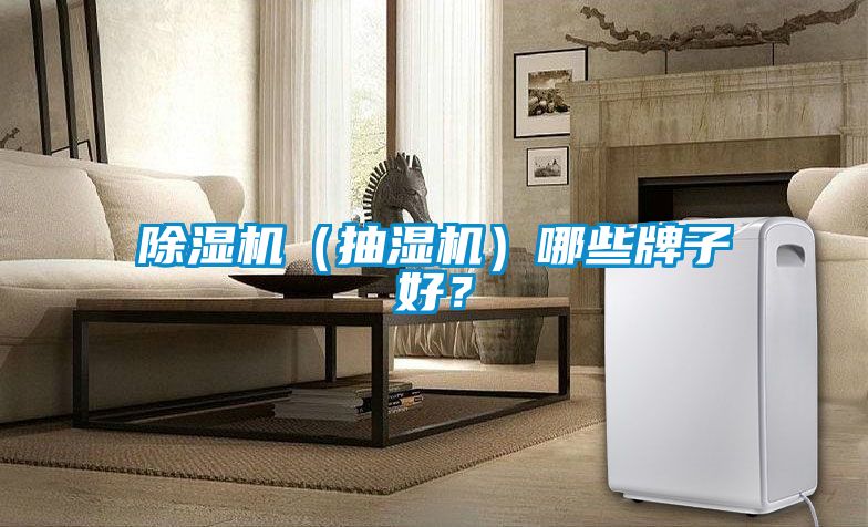 除濕機（抽濕機）哪些牌子好？