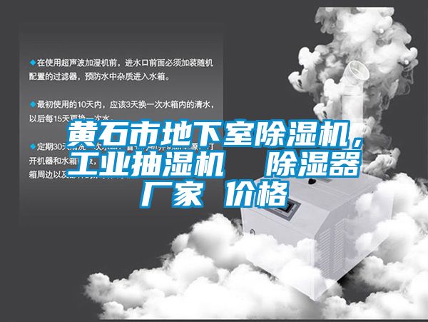 黃石市地下室除濕機，工業抽濕機  除濕器廠家 價格