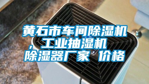 黃石市車間除濕機，工業抽濕機  除濕器廠家 價格