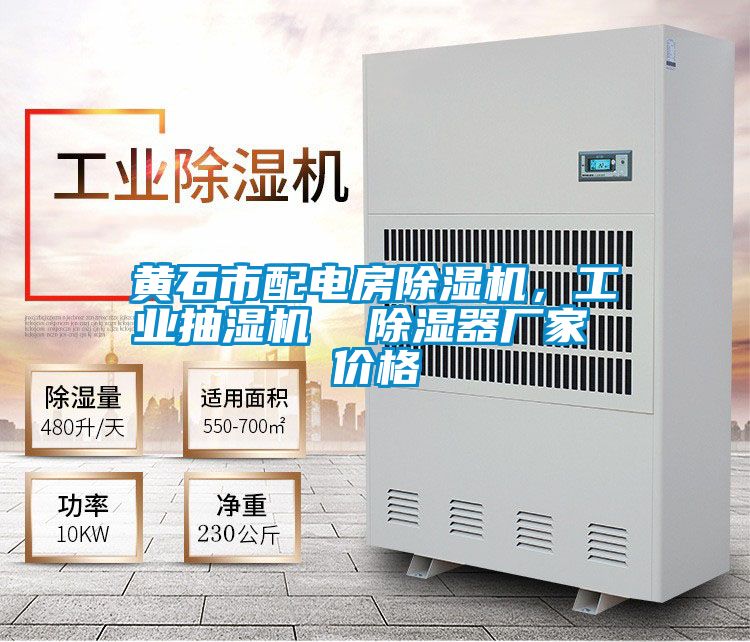 黃石市配電房除濕機，工業抽濕機  除濕器廠家 價格